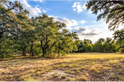208 Viento Cove, Blanco, TX 78606 - Photo 22