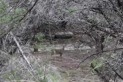 20701 Northland Drive, Lago Vista, TX 78645 - Photo 8