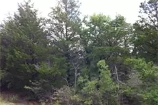 157 Campfire Way, Smithville, TX 78957 - Photo 1