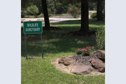 157 Campfire Way, Smithville, TX 78957 - Photo 2