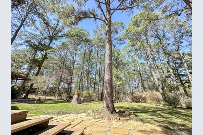 251 Pine View Loop, Bastrop, TX 78602 - Photo 26