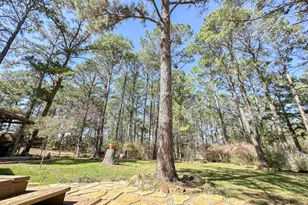 251 Pine View Loop, Bastrop, TX 78602 - Photo 26