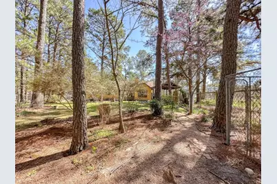 251 Pine View Loop, Bastrop, TX 78602 - Photo 28
