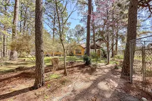 251 Pine View Loop, Bastrop, TX 78602 - Photo 28