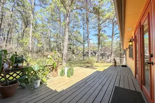 251 Pine View Loop, Bastrop, TX 78602 - Photo 24