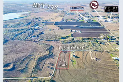 405 Black Ankle Road, Lockhart, TX 78644 - Photo 2