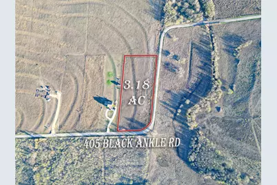 405 Black Ankle Road, Lockhart, TX 78644 - Photo 8