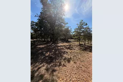1686 Fm 2104 Lot # 14, Paige, TX 78659 - Photo 6