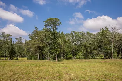 12899 Young Lane, Carmine, TX 78932 - Photo 18