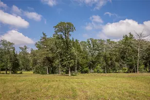 12899 Young Ln, Carmine, TX 78932 - Photo 18