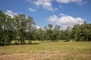 12899 Young Ln, Carmine, TX 78932 - Photo 16