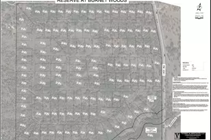 0 W Fm 2341, Burnet, TX 78611 - Photo 12