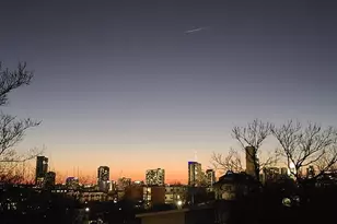 2003 E 9th St, Austin, TX 78702 - Photo 10