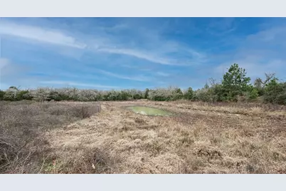 920 Old Potato Road, Paige, TX 78659 - Photo 4