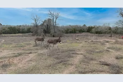 920 Old Potato Road, Paige, TX 78659 - Photo 18