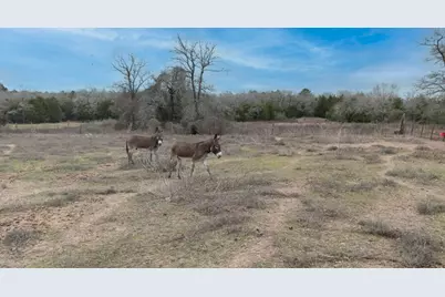 920 Old Potato Road, Paige, TX 78659 - Photo 18