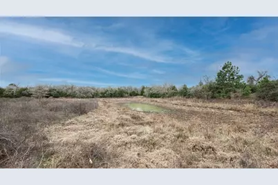 920 Old Potato Road, Paige, TX 78659 - Photo 4