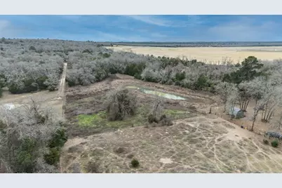 920 Old Potato Road, Paige, TX 78659 - Photo 16