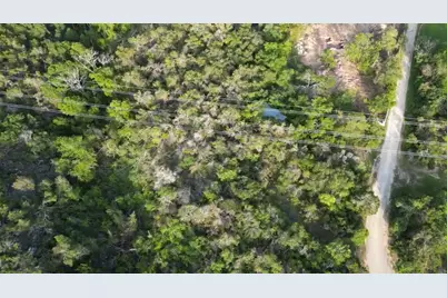 12015 Buckner Road, Austin, TX 78726 - Photo 6