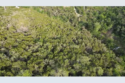 12015 Buckner Road, Austin, TX 78726 - Photo 10