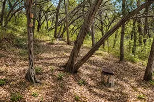 13967 Fm 2769, Leander, TX 78641 - Photo 14
