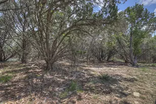 120 Sierra Way Way, Canyon Lake, TX 78133 - Photo 24