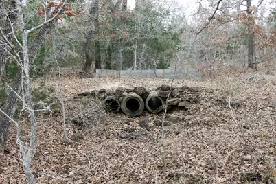 8729 E Fm 20 Highway, Dale, TX 78616 - Photo 4