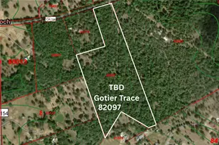 Tbd Gotier Trace Rd, Paige, TX 78659 - Photo 1