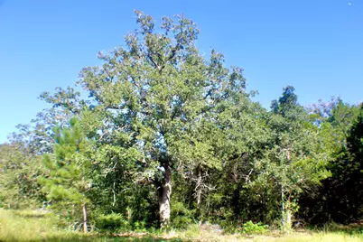 Tbd Gotier Trace Road, Paige, TX 78659 - Photo 18
