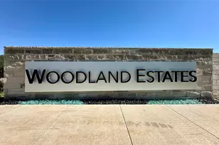 2341 Council Springs Pass, Leander, TX 78641 - Photo 18