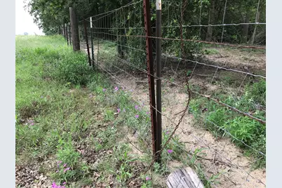 1672 Sayers Road #Tract 1, Bastrop, TX 78602 - Photo 6