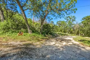 130 Water Park Rd, Wimberley, TX 78676 - Photo 2