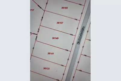 36141 & 36149 Kaelepulu Drive, Bastrop, TX 78602 - Photo 2