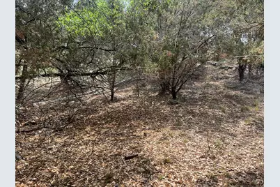 19906 Constitution Cove, Lago Vista, TX 78645 - Photo 4