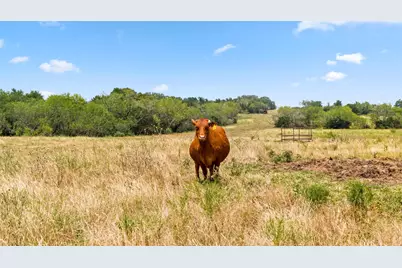 6035 State Park Road, Lockhart, TX 78644 - Photo 14