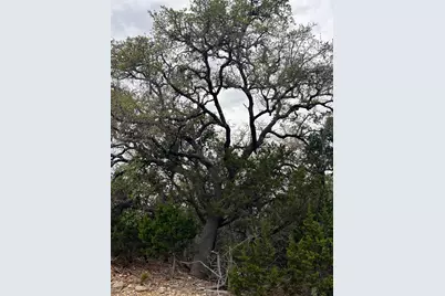 Lot 67 Broken Spoke 5 Acres, Canyon Lake, TX 78133 - Photo 6