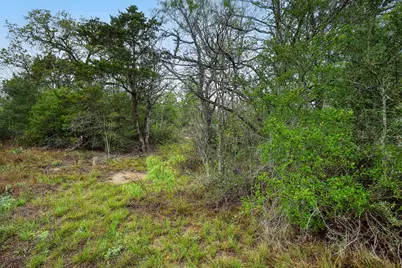 Tbd N Gaines Road, Cedar Creek, TX 78602 - Photo 12