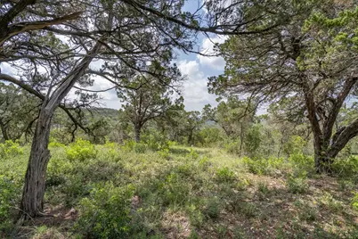 19705 Tyler Trail, Jonestown, TX 78645 - Photo 14