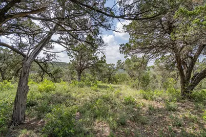 19705 Tyler Trail, Jonestown, TX 78645 - Photo 14