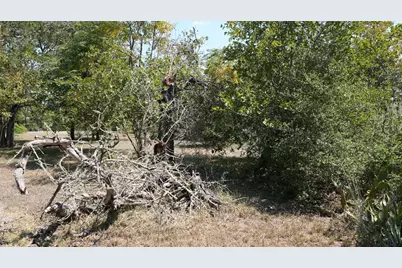 203 River Oaks Drive, Cedar Creek, TX 78612 - Photo 20