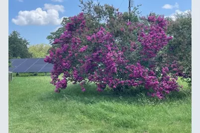 298 Jenkins Road, Cedar Creek, TX 78612 - Photo 36