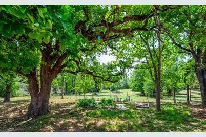 298 Jenkins Road, Cedar Creek, TX 78612 - Photo 36