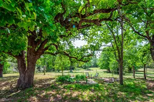 298 Jenkins Rd, Cedar Creek, TX 78612 - Photo 36