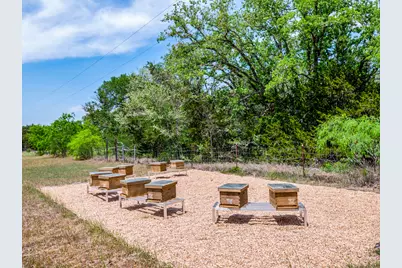 298 Jenkins Road, Cedar Creek, TX 78612 - Photo 6