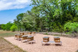 298 Jenkins Rd, Cedar Creek, TX 78612 - Photo 6