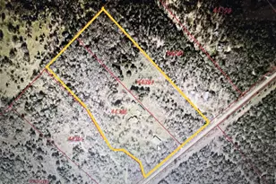298 Jenkins Rd, Cedar Creek, TX 78612 - Photo 38