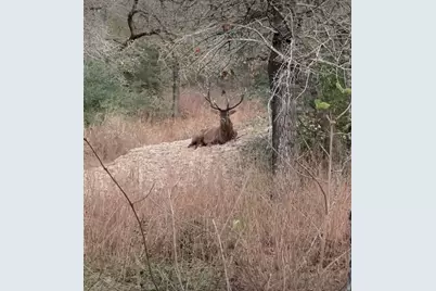 494 Flash Circle, Luling, TX 78648 - Photo 40
