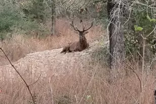 494 Flash Cir, Luling, TX 78648 - Photo 40