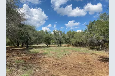 33400 Brooks Ranch Road, Austin, TX 78620 - Photo 1