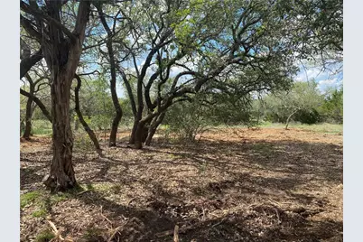 33400 Brooks Ranch Road, Austin, TX 78620 - Photo 4